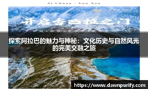 芒果体育官方网站